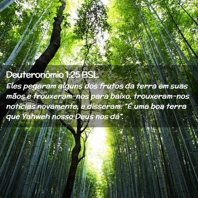 Picture 02 - Deuteronômio 1:25 BSL - Eles pegaram alguns dos frutos da terra em suas - Bible Verse Picture