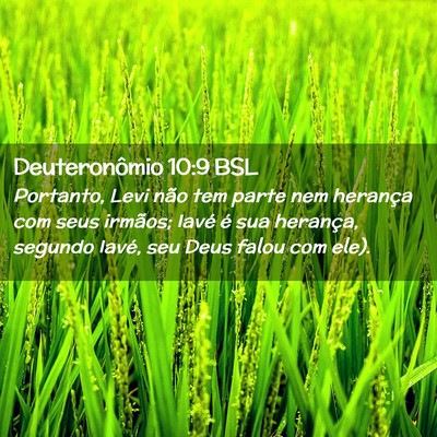 Picture 02 - Deuteronômio 10:9 BSL - Portanto, Levi não tem parte nem herança com - Bible Verse Picture