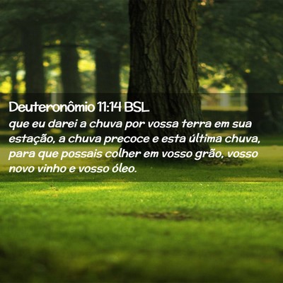 Picture 02 - Deuteronômio 11:14 BSL - que eu darei a chuva por vossa terra em sua - Bible Verse Picture