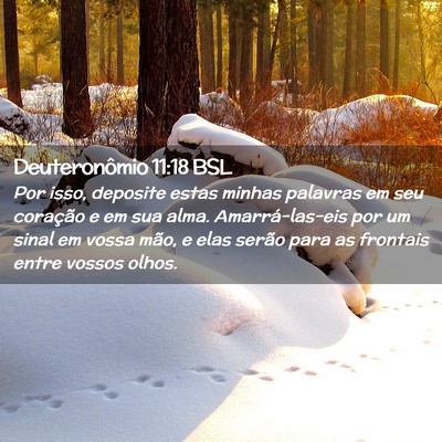 Picture 02 - Deuteronômio 11:18 BSL - Por isso, deposite estas minhas palavras em seu - Bible Verse Picture