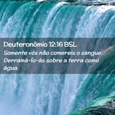 Picture 02 - Deuteronômio 12:16 BSL - Somente vós não comereis o sangue. - Bible Verse Picture