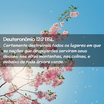 Picture 02 - Deuteronômio 12:2 BSL - Certamente destruireis todos os lugares em que as - Bible Verse Picture