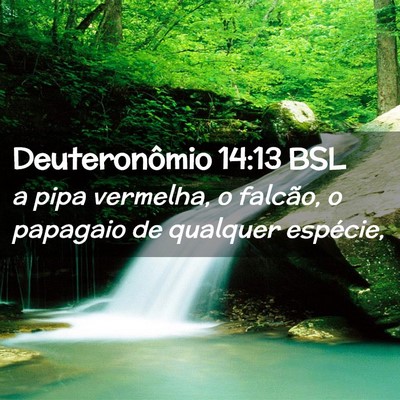 Picture 02 - Deuteronômio 14:13 BSL - a pipa vermelha, o falcão, o papagaio de - Bible Verse Picture