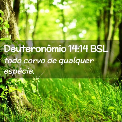 Picture 02 - Deuteronômio 14:14 BSL - todo corvo de qualquer - Bible Verse Picture