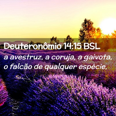 Picture 02 - Deuteronômio 14:15 BSL - a avestruz, a coruja, a gaivota, o falcão de - Bible Verse Picture