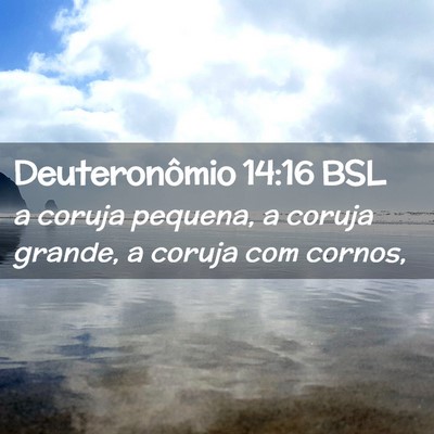Picture 02 - Deuteronômio 14:16 BSL - a coruja pequena, a coruja grande, a coruja com - Bible Verse Picture