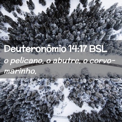 Picture 02 - Deuteronômio 14:17 BSL - o pelicano, o abutre, o - Bible Verse Picture
