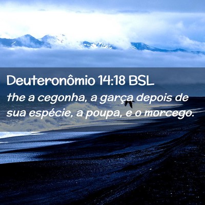 Picture 02 - Deuteronômio 14:18 BSL - the a cegonha, a garça depois de sua espécie, a - Bible Verse Picture