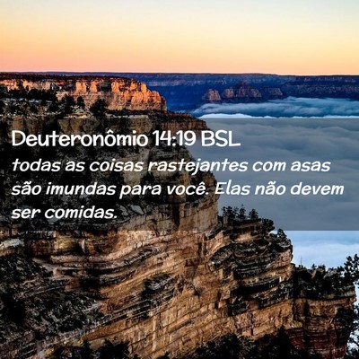 Picture 02 - Deuteronômio 14:19 BSL - todas as coisas rastejantes com asas são imundas - Bible Verse Picture