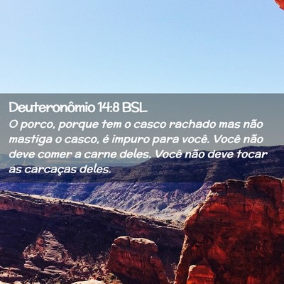 Picture 02 - Deuteronômio 14:8 BSL - O porco, porque tem o casco rachado mas não - Bible Verse Picture