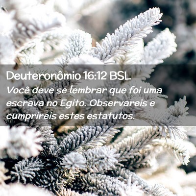 Picture 02 - Deuteronômio 16:12 BSL - Você deve se lembrar que foi uma escrava no - Bible Verse Picture