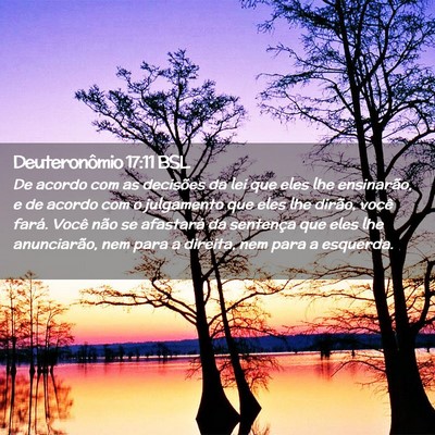 Picture 02 - Deuteronômio 17:11 BSL - De acordo com as decisões da lei que eles lhe - Bible Verse Picture