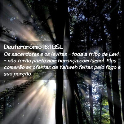 Picture 02 - Deuteronômio 18:1 BSL - Os sacerdotes e os levitas - toda a tribo de Levi - Bible Verse Picture