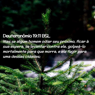 Picture 02 - Deuteronômio 19:11 BSL - Mas se algum homem odiar seu próximo, ficar à - Bible Verse Picture