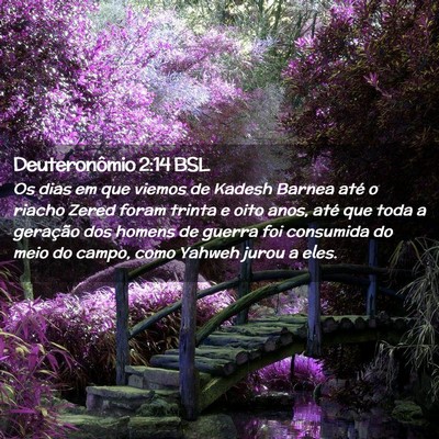 Picture 02 - Deuteronômio 2:14 BSL - Os dias em que viemos de Kadesh Barnea até o - Bible Verse Picture