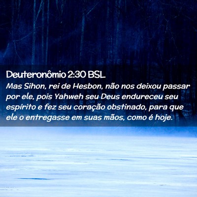 Picture 02 - Deuteronômio 2:30 BSL - Mas Sihon, rei de Hesbon, não nos deixou passar - Bible Verse Picture