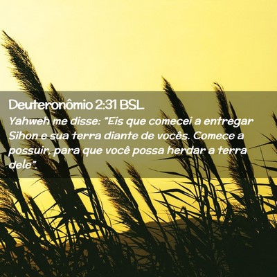 Picture 02 - Deuteronômio 2:31 BSL - Yahweh me disse: “Eis que comecei a entregar - Bible Verse Picture