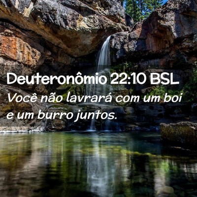 Picture 02 - Deuteronômio 22:10 BSL - Você não lavrará com um boi e um burro - Bible Verse Picture