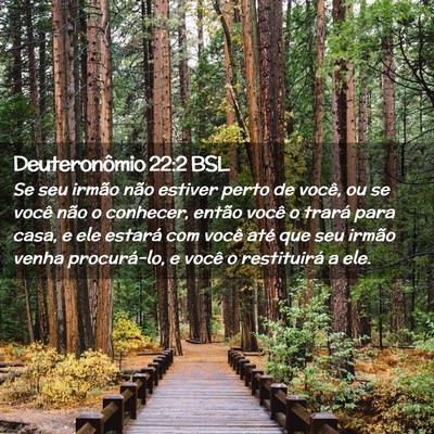 Picture 02 - Deuteronômio 22:2 BSL - Se seu irmão não estiver perto de você, ou se - Bible Verse Picture