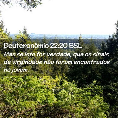 Picture 02 - Deuteronômio 22:20 BSL - Mas se isto for verdade, que os sinais de - Bible Verse Picture