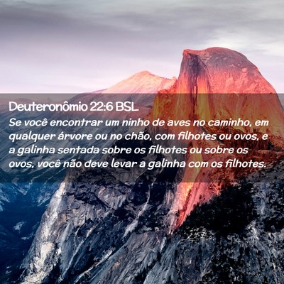 Picture 02 - Deuteronômio 22:6 BSL - Se você encontrar um ninho de aves no caminho, - Bible Verse Picture