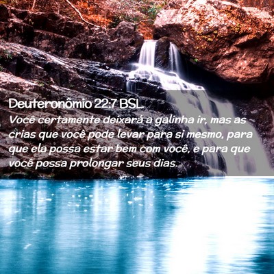 Picture 02 - Deuteronômio 22:7 BSL - Você certamente deixará a galinha ir, mas as - Bible Verse Picture