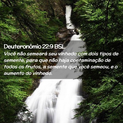 Picture 02 - Deuteronômio 22:9 BSL - Você não semeará seu vinhedo com dois tipos de - Bible Verse Picture
