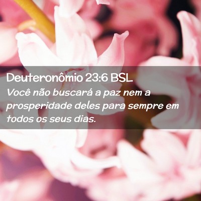 Picture 02 - Deuteronômio 23:6 BSL - Você não buscará a paz nem a prosperidade - Bible Verse Picture