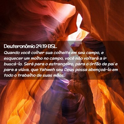 Picture 02 - Deuteronômio 24:19 BSL - Quando você colher sua colheita em seu campo, e - Bible Verse Picture