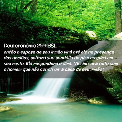 Picture 02 - Deuteronômio 25:9 BSL - então a esposa de seu irmão virá até ele na - Bible Verse Picture