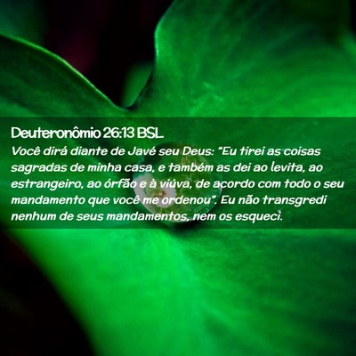Picture 02 - Deuteronômio 26:13 BSL - Você dirá diante de Javé seu Deus: “Eu tirei - Bible Verse Picture