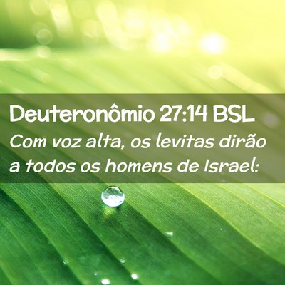 Picture 02 - Deuteronômio 27:14 BSL - Com voz alta, os levitas dirão a todos os homens - Bible Verse Picture