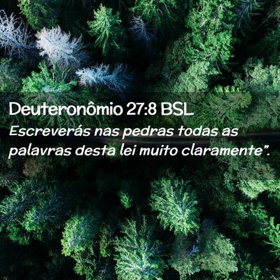 Picture 02 - Deuteronômio 27:8 BSL - Escreverás nas pedras todas as palavras desta - Bible Verse Picture