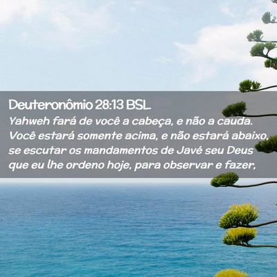 Picture 02 - Deuteronômio 28:13 BSL - Yahweh fará de você a cabeça, e não a cauda. - Bible Verse Picture
