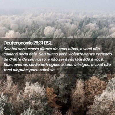 Picture 02 - Deuteronômio 28:31 BSL - Seu boi será morto diante de seus olhos, e você - Bible Verse Picture