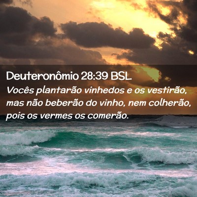 Picture 02 - Deuteronômio 28:39 BSL - Vocês plantarão vinhedos e os vestirão, mas - Bible Verse Picture