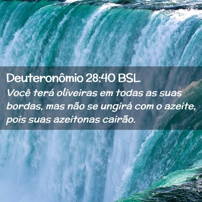 Picture 02 - Deuteronômio 28:40 BSL - Você terá oliveiras em todas as suas bordas, - Bible Verse Picture