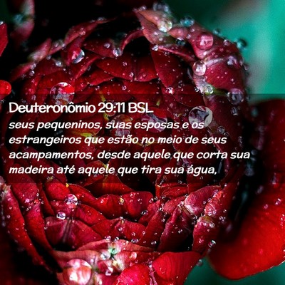 Picture 02 - Deuteronômio 29:11 BSL - seus pequeninos, suas esposas e os estrangeiros - Bible Verse Picture