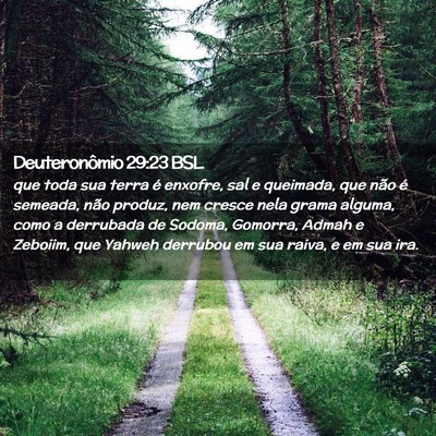 Picture 02 - Deuteronômio 29:23 BSL - que toda sua terra é enxofre, sal e queimada, - Bible Verse Picture