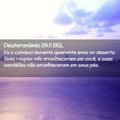 Picture 02 - Deuteronômio 29:5 BSL - Eu o conduzi durante quarenta anos no deserto. - Bible Verse Picture