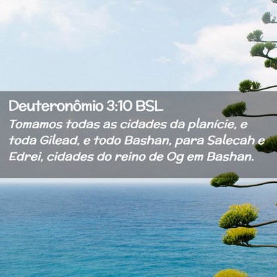 Picture 02 - Deuteronômio 3:10 BSL - Tomamos todas as cidades da planície, e toda - Bible Verse Picture
