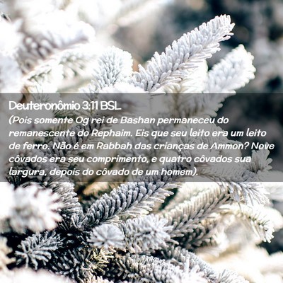 Picture 02 - Deuteronômio 3:11 BSL - (Pois somente Og rei de Bashan permaneceu do - Bible Verse Picture