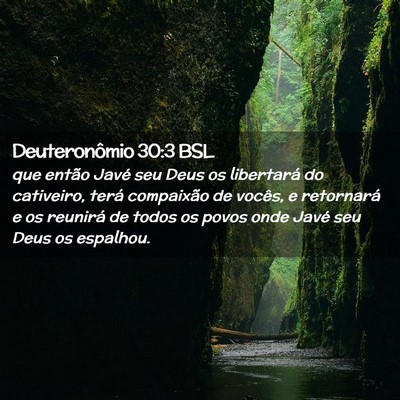 Picture 02 - Deuteronômio 30:3 BSL - que então Javé seu Deus os libertará do - Bible Verse Picture