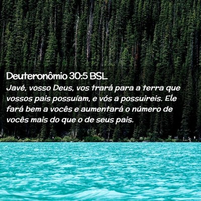 Picture 02 - Deuteronômio 30:5 BSL - Javé, vosso Deus, vos trará para a terra que - Bible Verse Picture