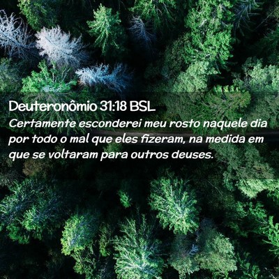 Picture 02 - Deuteronômio 31:18 BSL - Certamente esconderei meu rosto naquele dia por - Bible Verse Picture