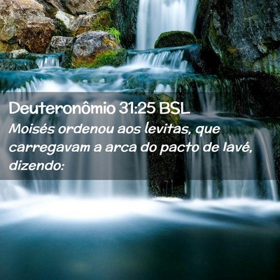 Picture 02 - Deuteronômio 31:25 BSL - Moisés ordenou aos levitas, que carregavam a - Bible Verse Picture
