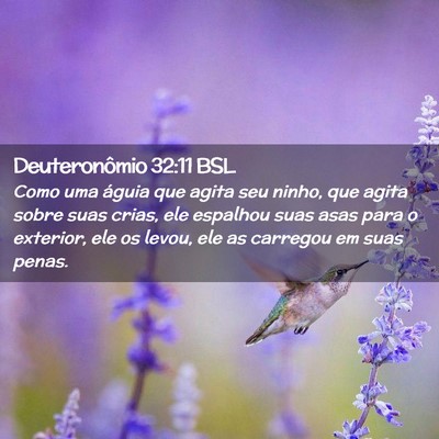 Picture 02 - Deuteronômio 32:11 BSL - Como uma águia que agita seu ninho, que agita - Bible Verse Picture