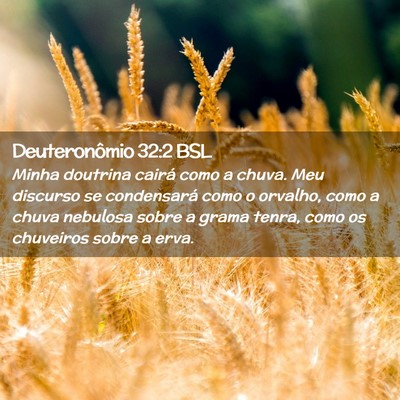 Picture 02 - Deuteronômio 32:2 BSL - Minha doutrina cairá como a chuva. Meu discurso - Bible Verse Picture