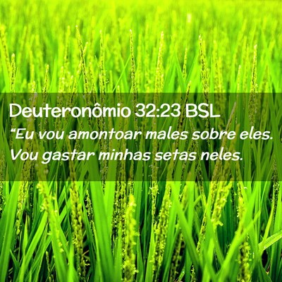Picture 02 - Deuteronômio 32:23 BSL - “Eu vou amontoar males sobre eles. Vou gastar - Bible Verse Picture