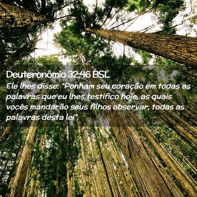Picture 02 - Deuteronômio 32:46 BSL - Ele lhes disse: “Ponham seu coração em todas - Bible Verse Picture